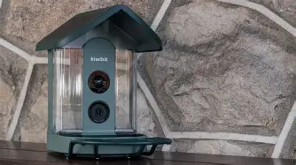 Why Everyone is Buying the Kiwibit Beako Smart Bird Feeder (Full Review)